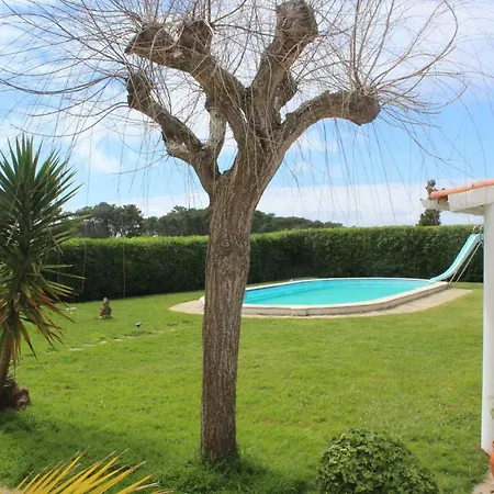 Casa Da Pedra Alta Affittacamere *